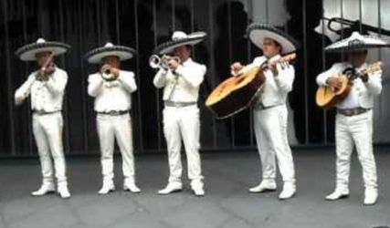Guitarron Trompeta Mariachi