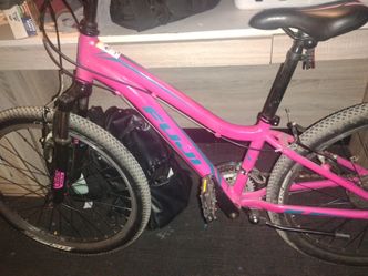 Fuji Kids Mountain Bike Pink