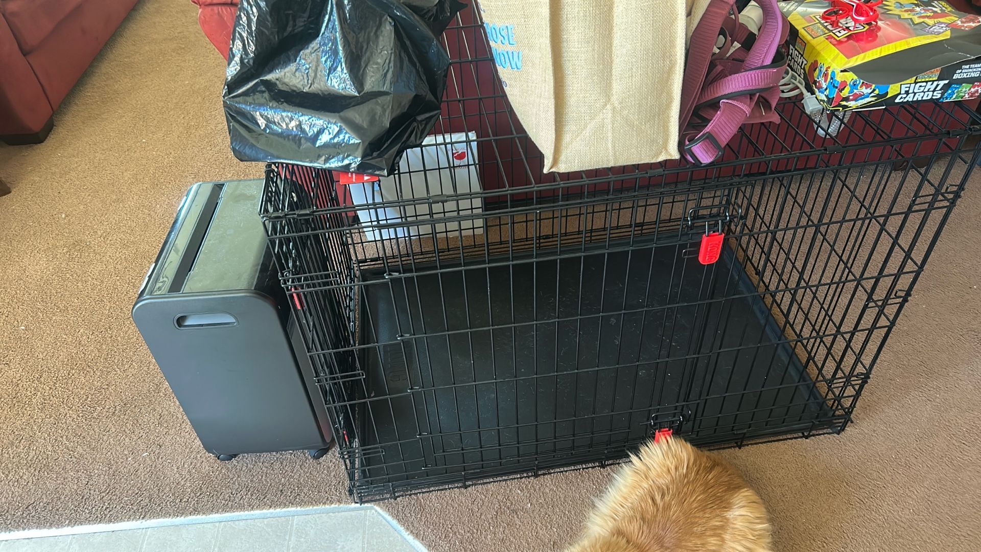 Kong Large Cage Only Used A Couple Times