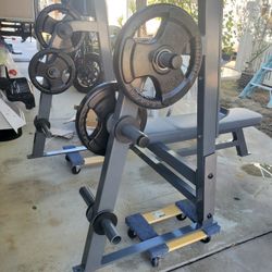 Professional  Weight Bench 