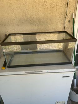 Fish tank ( 20 gallon long )