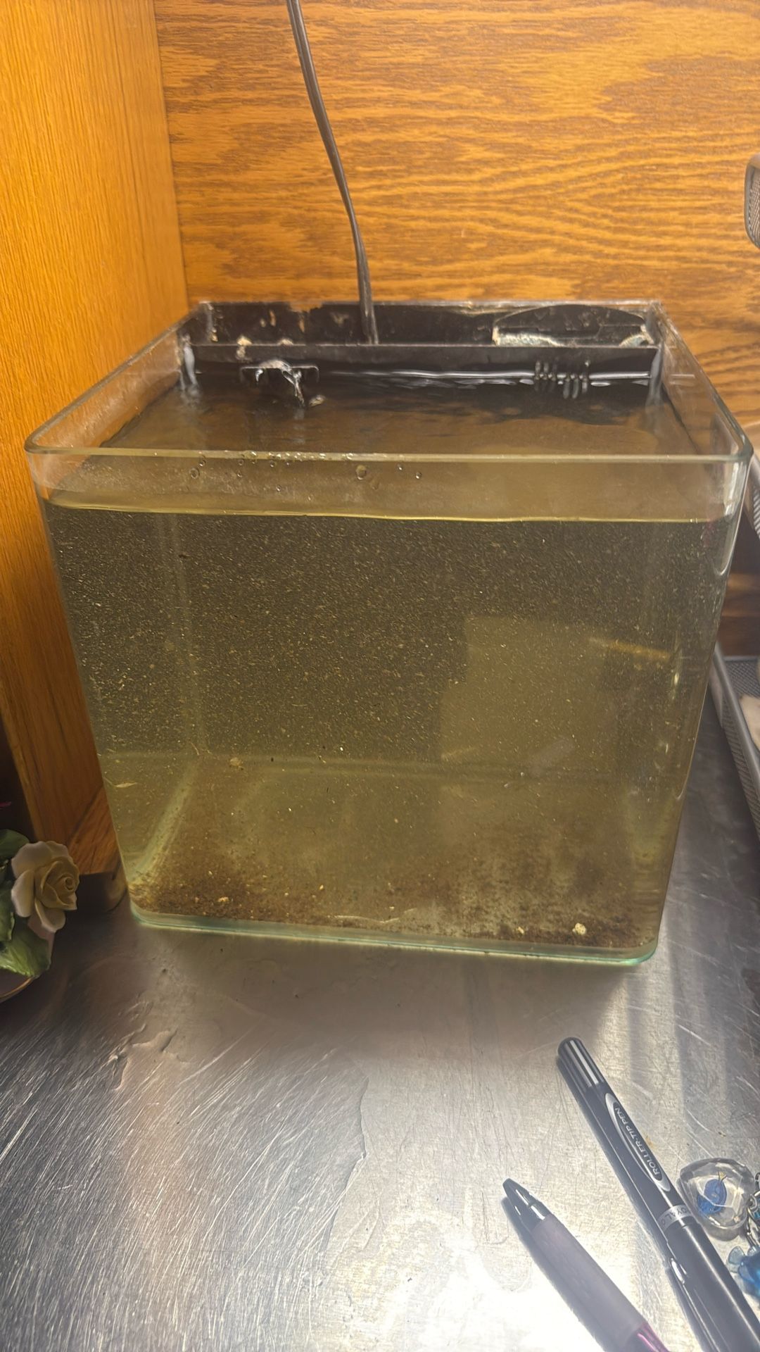 Eight. Gallon Tank.