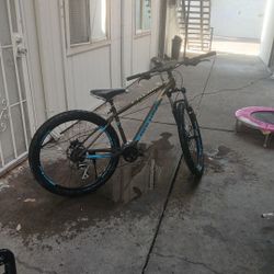 Premier 4 Polygon Bike