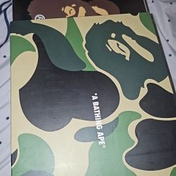 BAPE Bapestas #6 