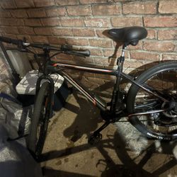 Vortex Electric Bike