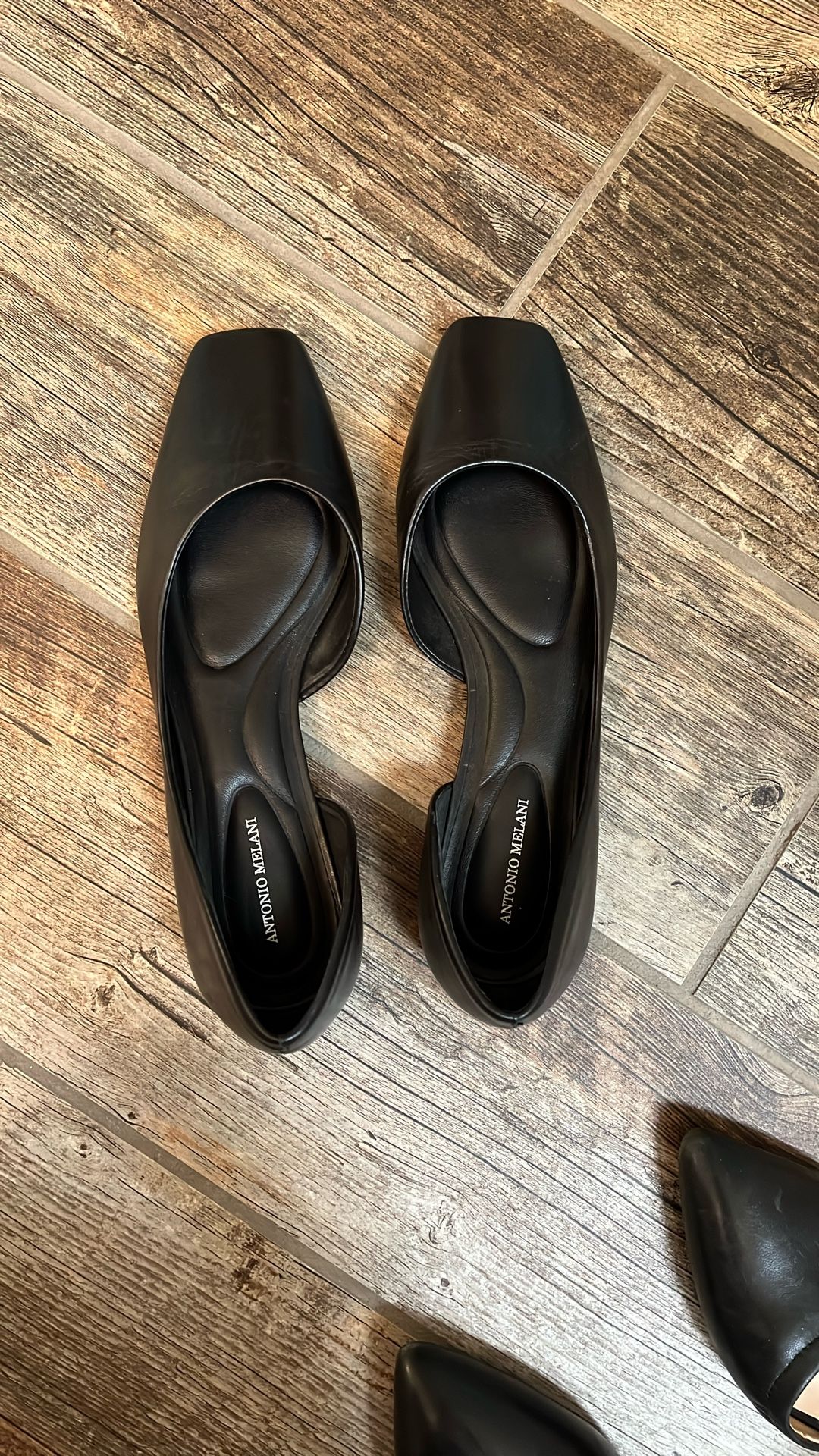 Black Flats