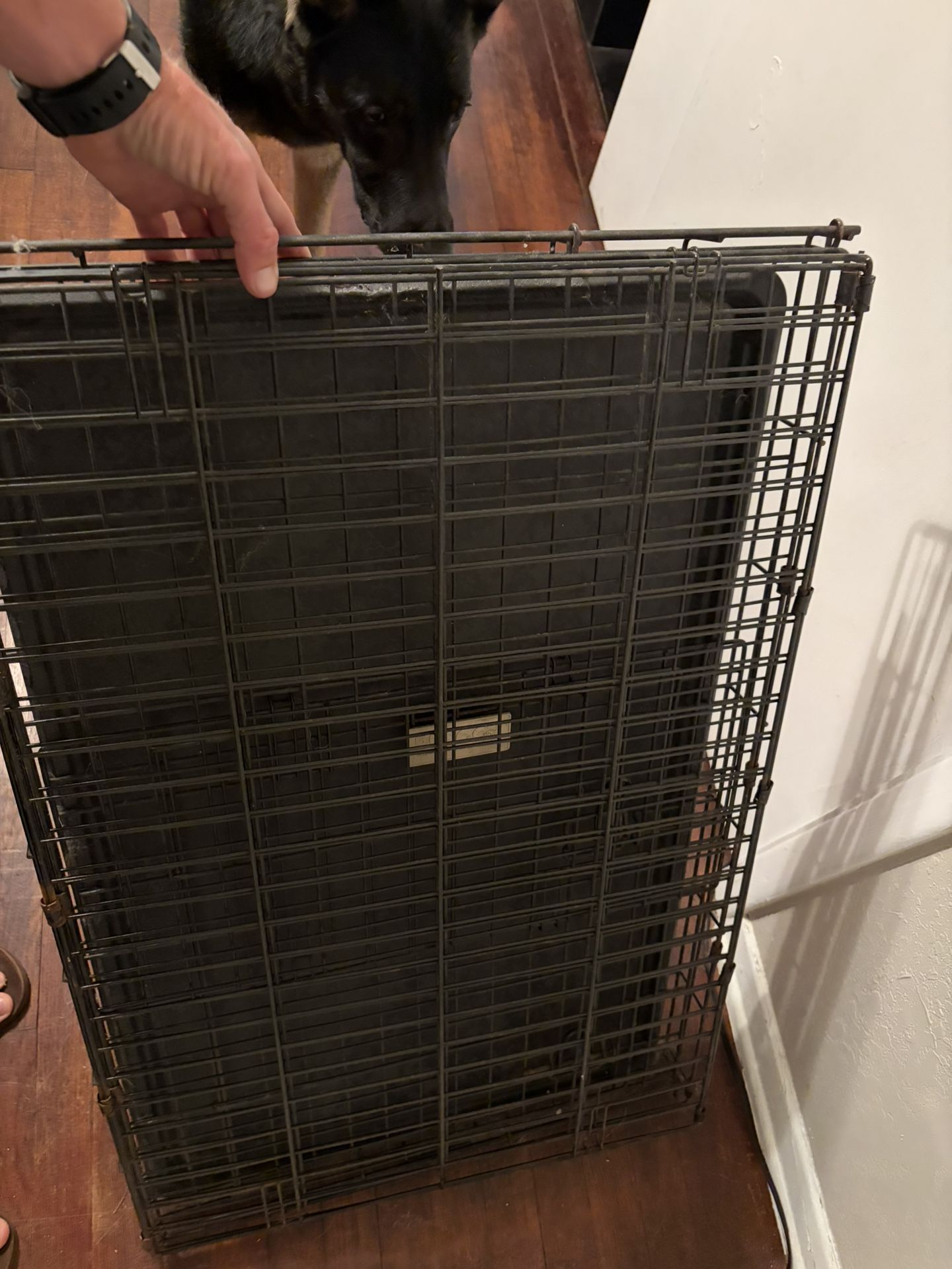 Large Dog Crate