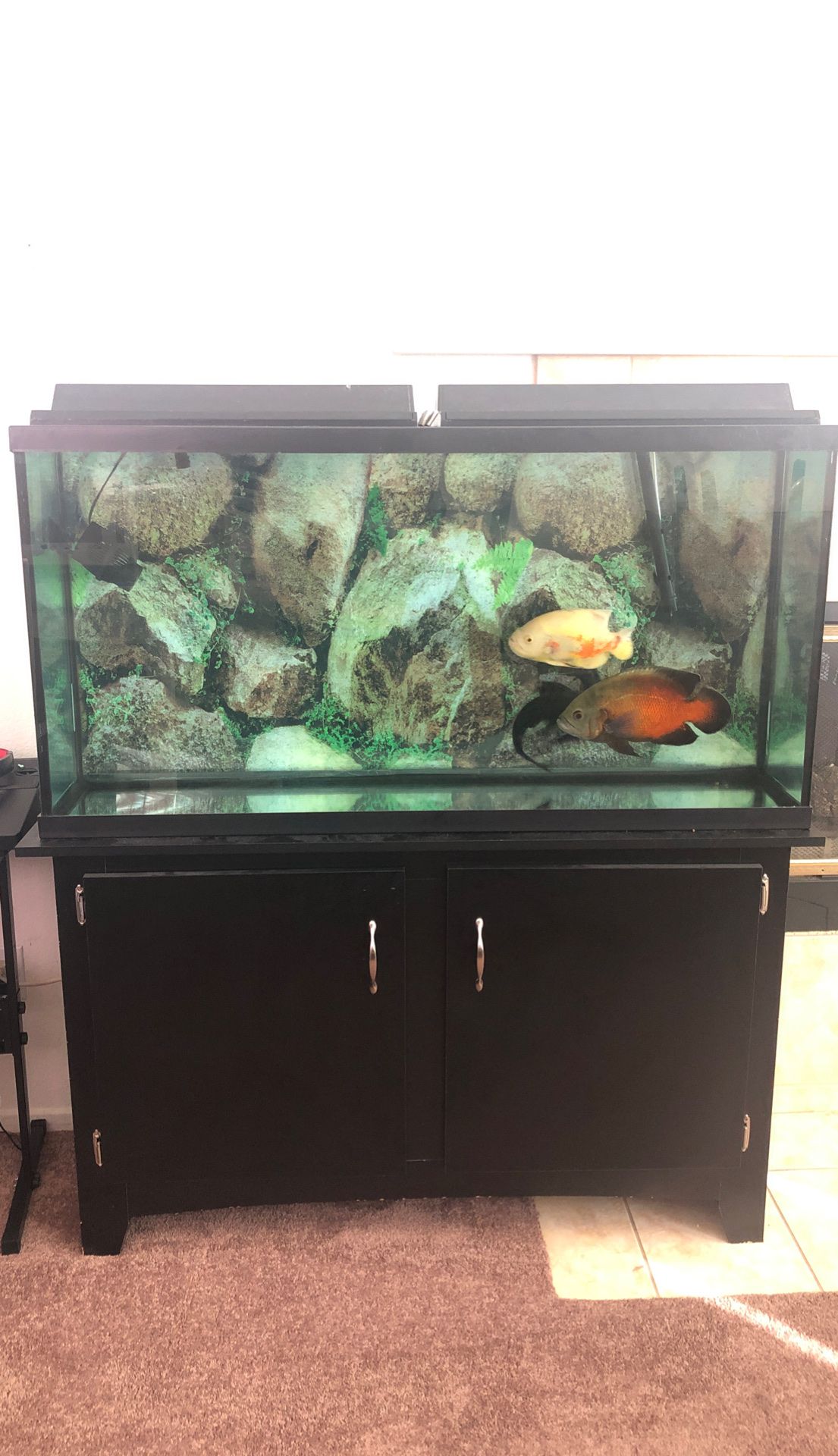 FULL FUNCTIONAL 60 GAL FISH TANK WITH STAND