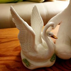 Swans