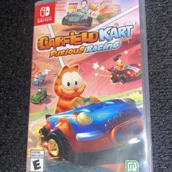 Nintendo Garfield Racing Game