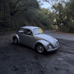 1966 Volkswagen Beetle