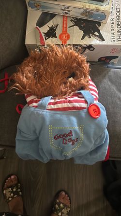 Dog costume
