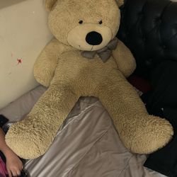 big giant bear