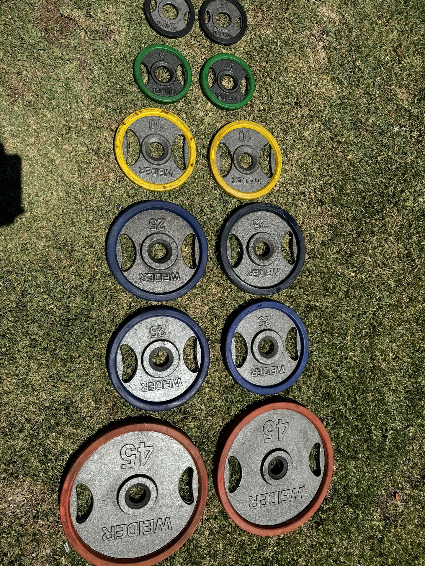 Olympic Weigh Set 225 Lbs