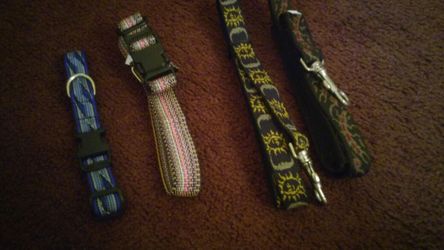 New dog collars