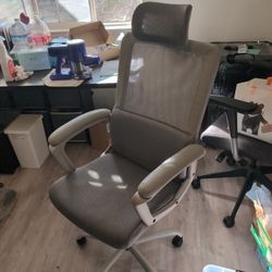 Ergonomic Office Chair 