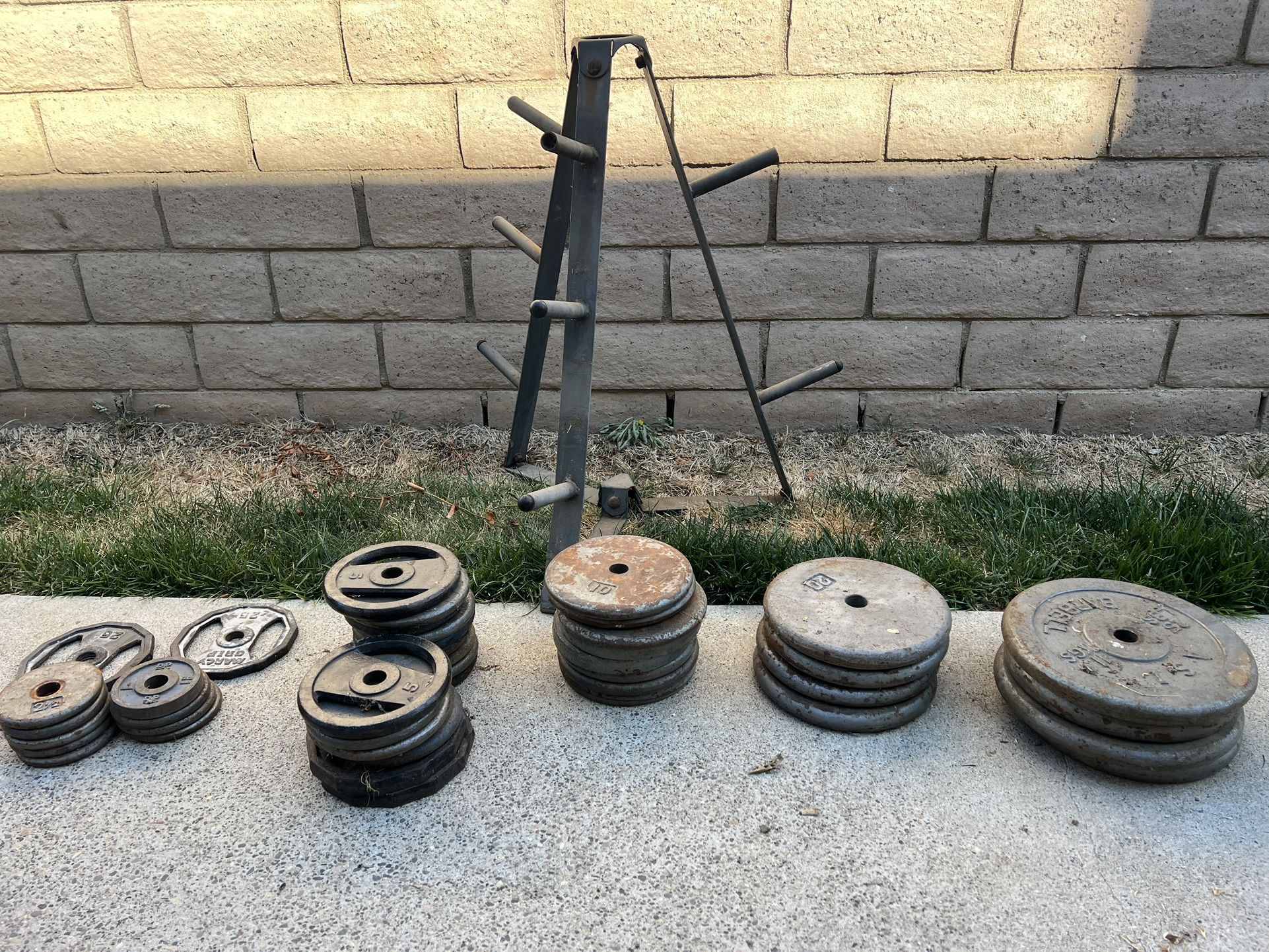 Weights + Tree Weight+ Bar For Weight