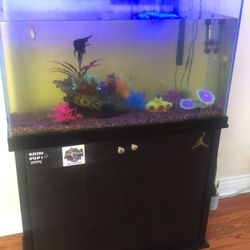 45 Gallon Fish Tank And Stand With Accessories 