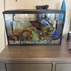 Fish Tank 
