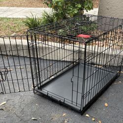 Dog Cat Pet Gage NEW!!!