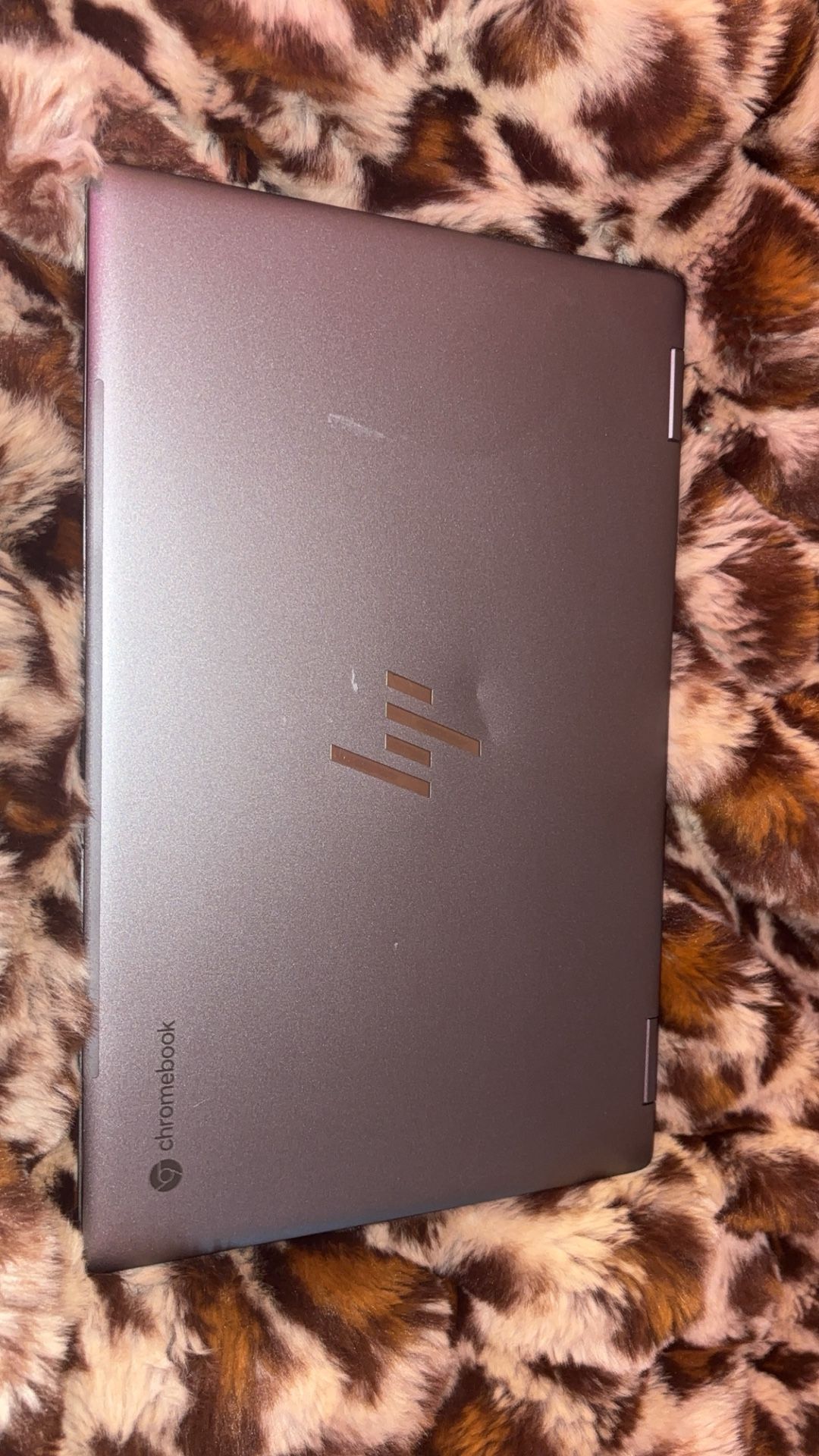 HP Chromebook