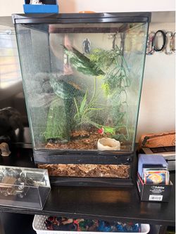 Zoo Med Tropical Terrarium Setup