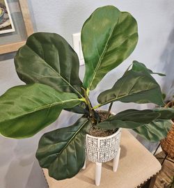 Faux Plant