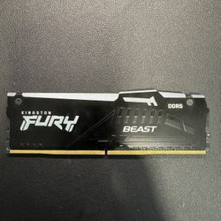 Kingston Furry 8GB DDR5 RGB 1 Stick Only
