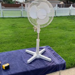White Pedestal Fan