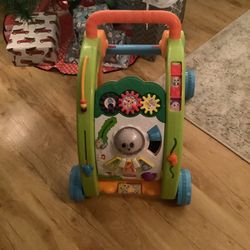 Activity Push Toy 