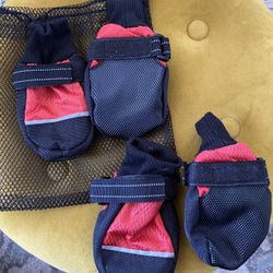 Dog Booties 