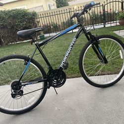 Road Master Mountain Blue Adult Bike 