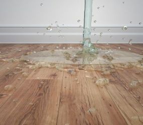 Waterproof floors, kids and pets friendly it means no allergies. Sale!!! $1.69 sq ft