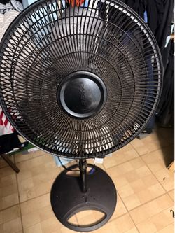 fan