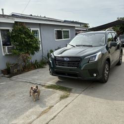 2024 Subaru Forester Premium 