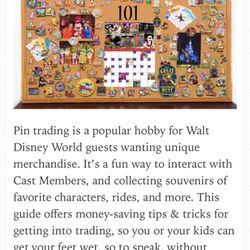Disney Pin Trading Lanyard 