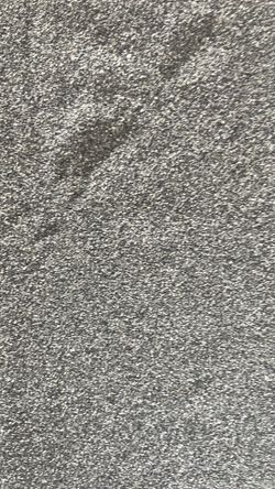 reptile sand