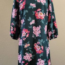 Ann Taylor Floral Long Sleeve Dress Size 4