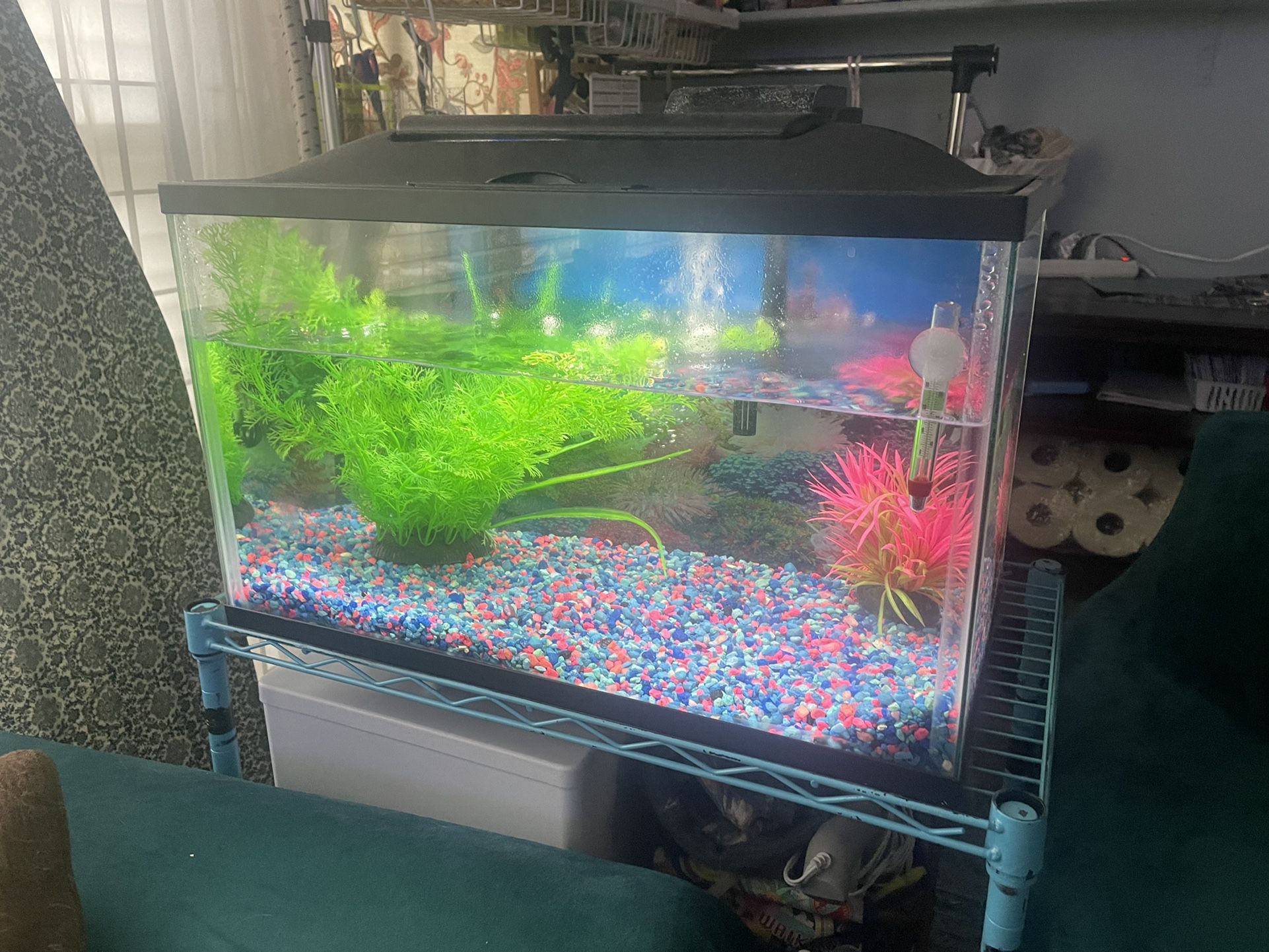 Fish Tank 10 gallons Come With Decorations 