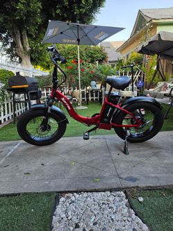 Electric bike/Bicicleta electrica