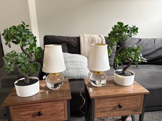 Fake plants