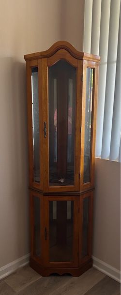 Glass Curio Display