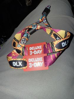 Riot Fest Deluxe Sunday. $400 each. Meet at entrance.