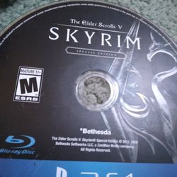Skyrim Ps4 Videogame