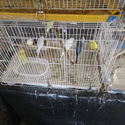 Perquitos en venta