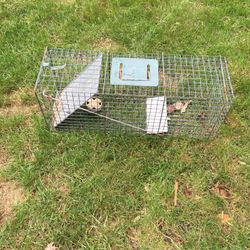 Live Trap - Large Size 