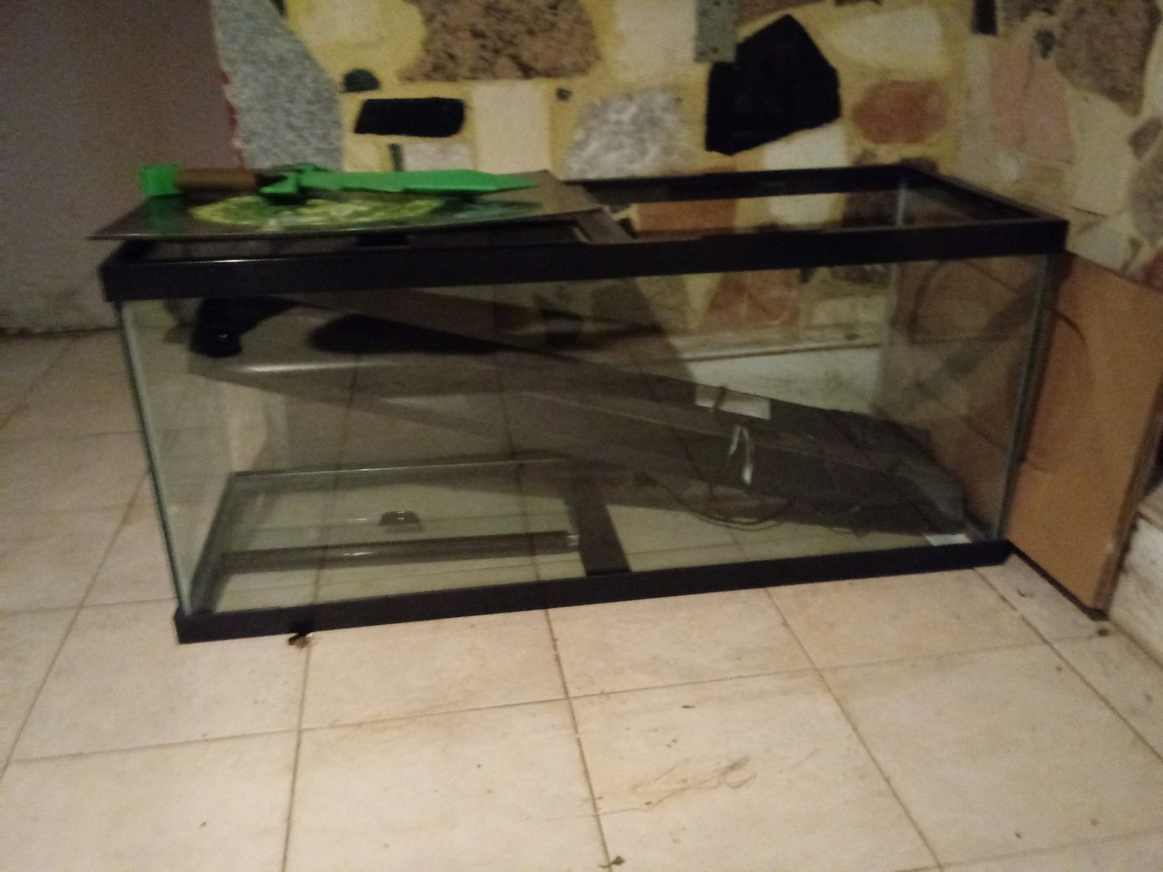 Fish tanks