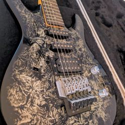 Washburn Guitar 