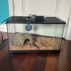 Small Reptile Cage 