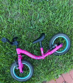Guardian balance bike